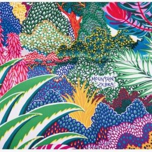 Hermès Mountain Zebra Multicolor Scarf